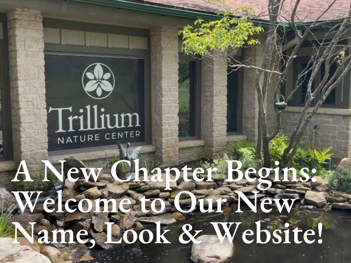 A New Chapter Begins: Welcome to Our New Name, Look & Website!