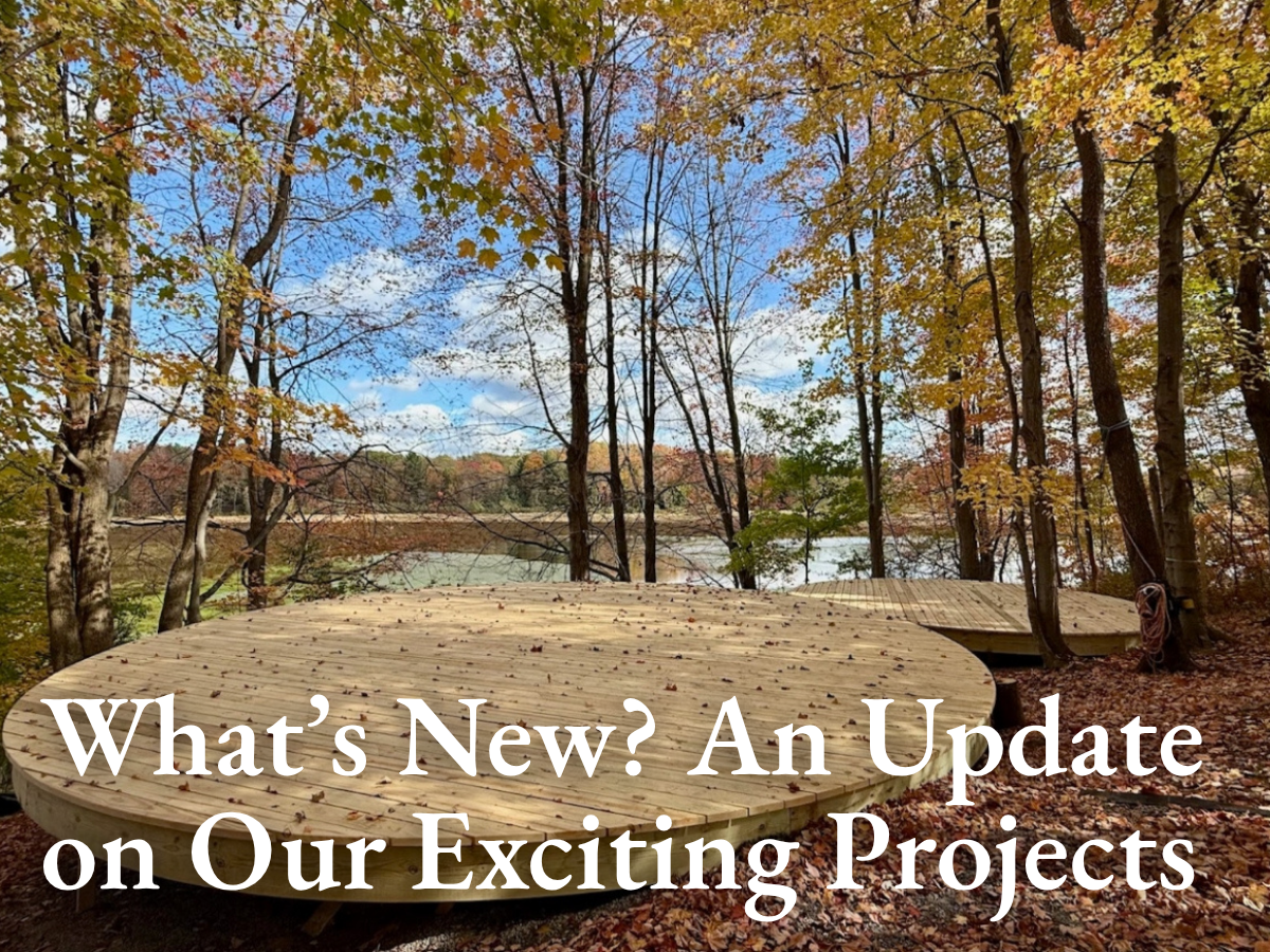 What’s New? An Update on Our Exciting Projects