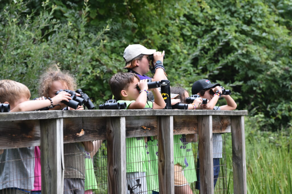 children looking through binoculars next to a pond