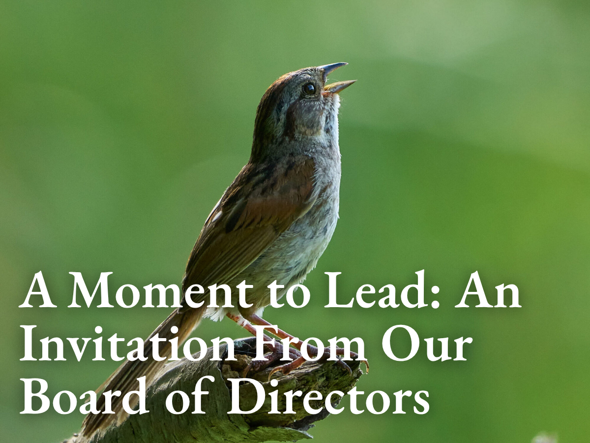 A Moment to Lead: An Invitation from the Buffalo Audubon Board of Directors