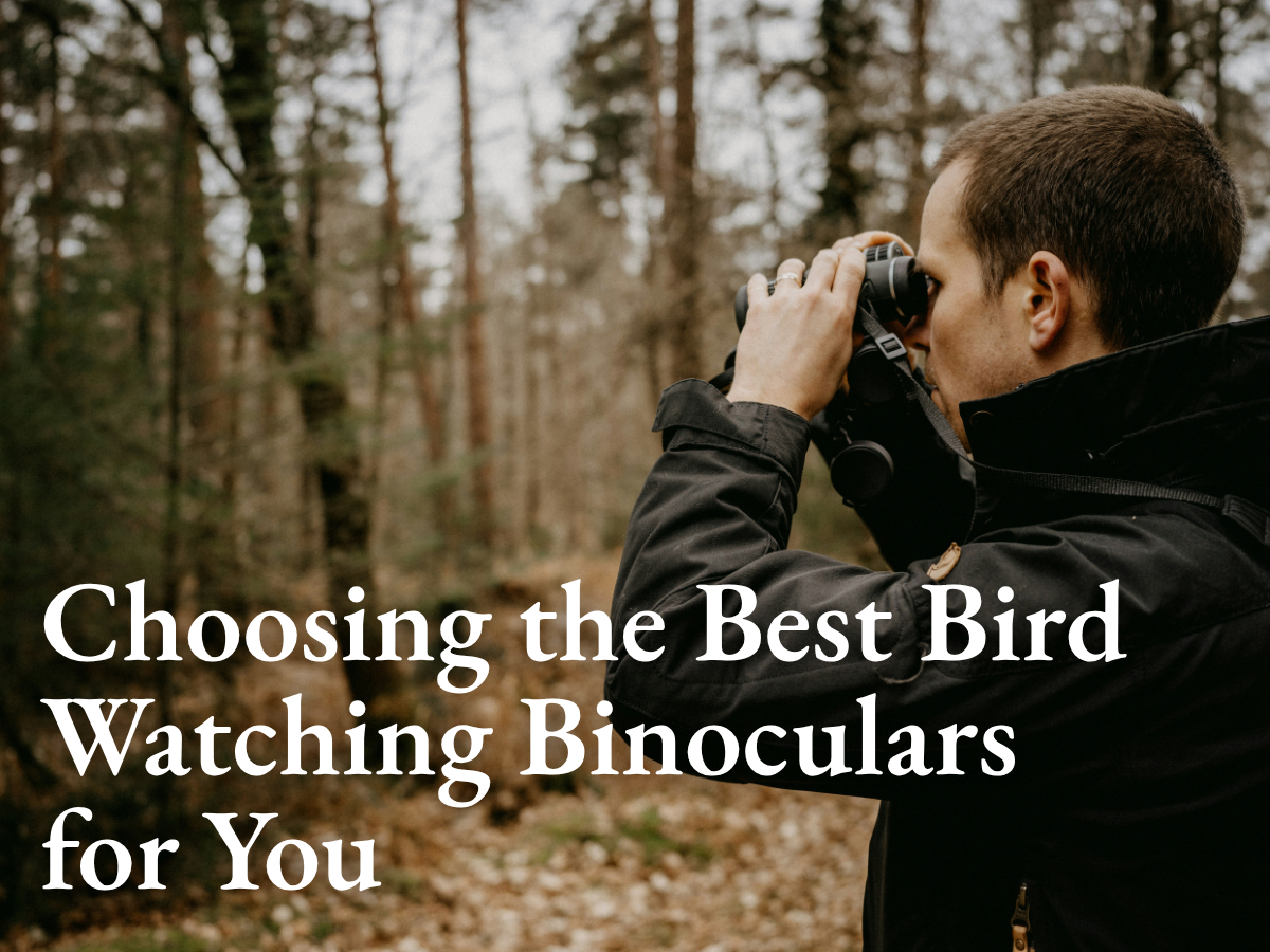 Choosing the Best Bird Watching Binoculars for You