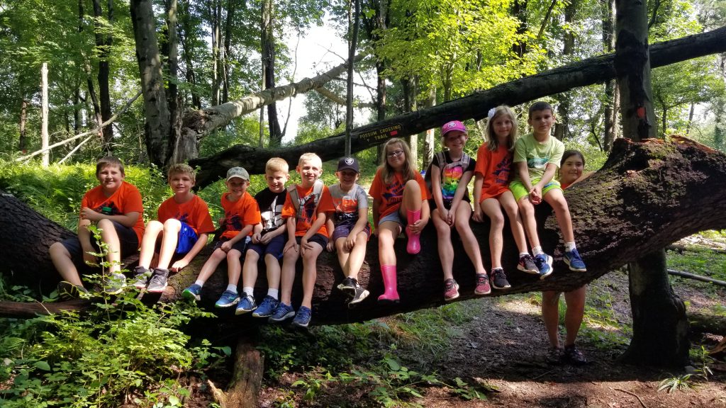 Children in orange shirts sitting in a line on a log