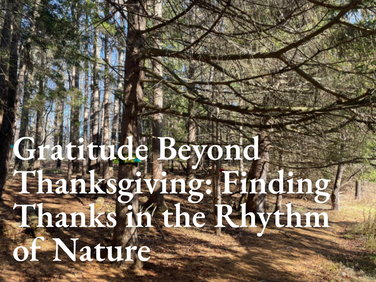 Gratitude Beyond Thanksgiving: Finding Thanks in the Rhythm of Nature
