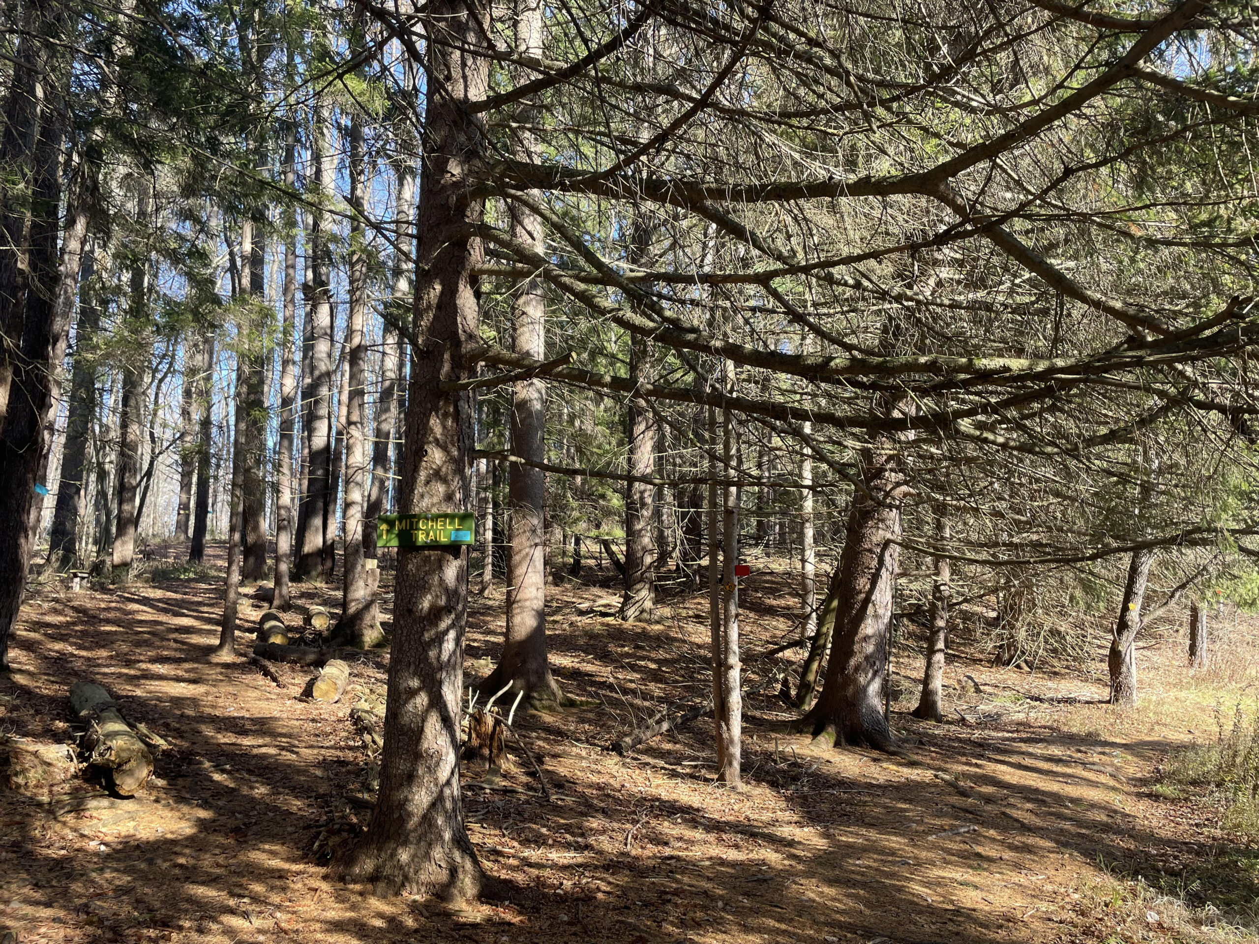 Gratitude Beyond Thanksgiving: Finding Thanks in the Rhythm of Nature