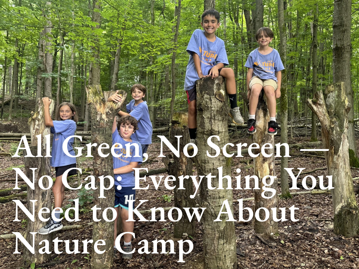 All Green, No Screen — No Cap: Everything You Need to Know About Nature Camp