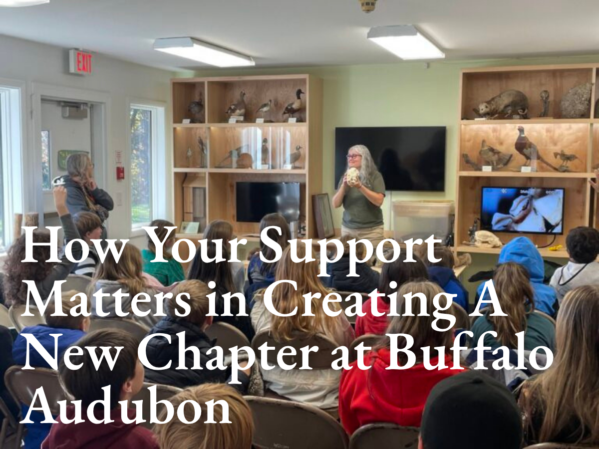How Your Support Matters in Creating A New Chapter at Buffalo Audubon