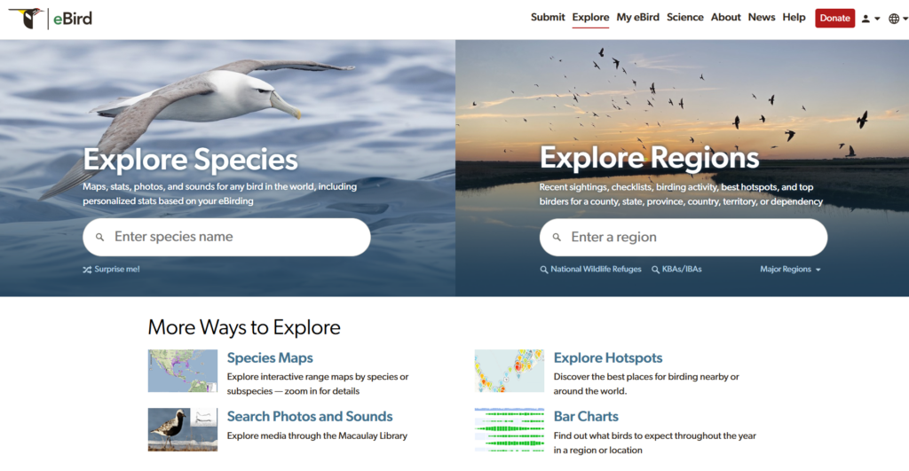 ebird website with sections that say explore species and explore regions'