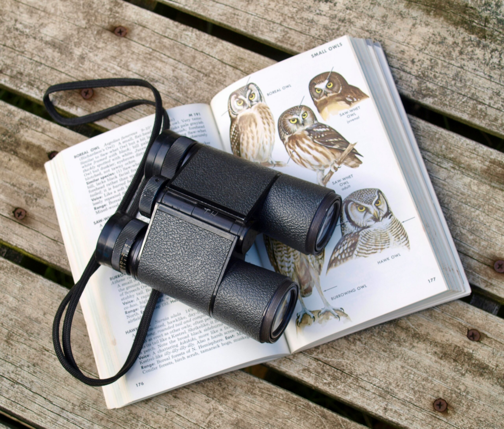binoculars sitting on a field guide picturing owls