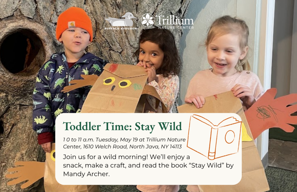 Toddler Time - Stay Wild