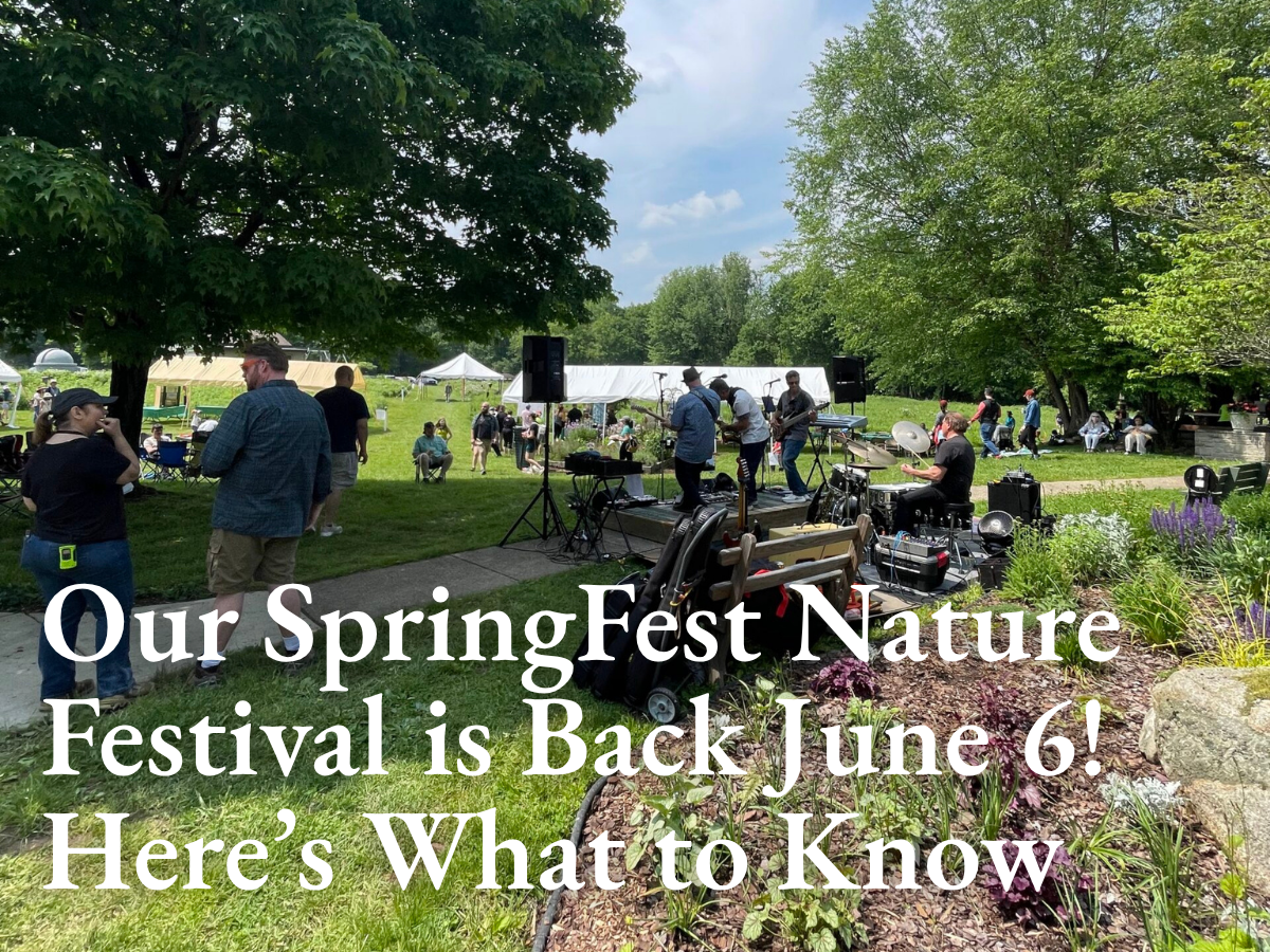 our springfest nature festival is back june 6! here's what to know