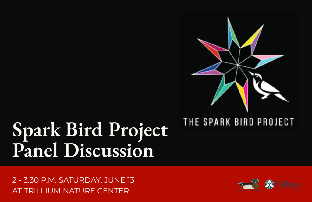 Spark Bird Project Panel Discussion
