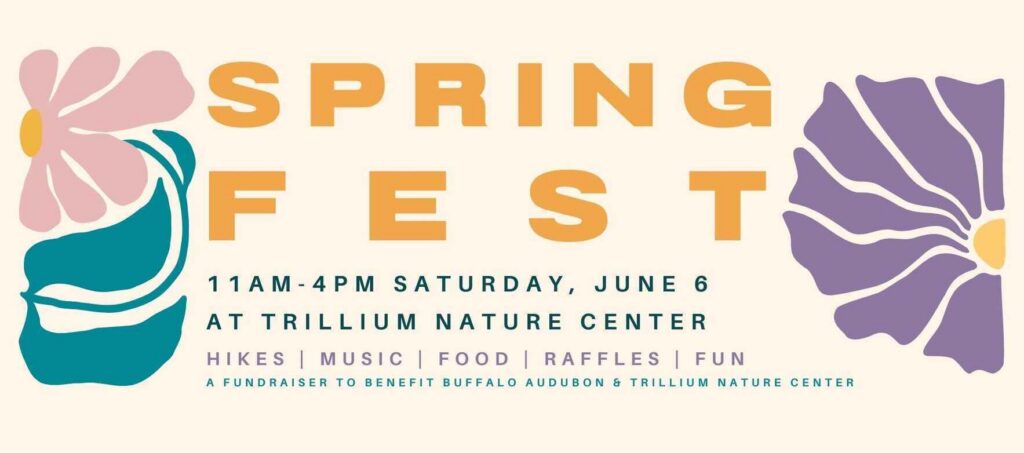 SpringFest