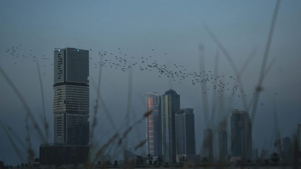 city with no lights on and birds flying overhead