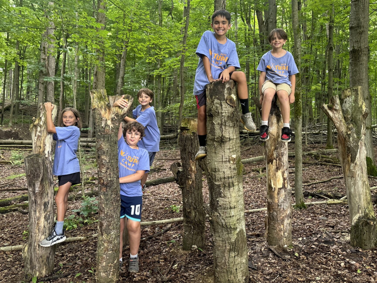 All Green, No Screen — No Cap: Everything You Need to Know About Nature Camp