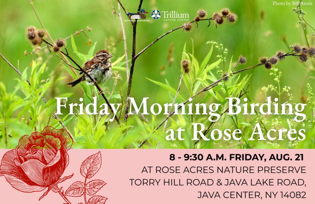 Friday Morning Birding - Rose Acres Nature Preserve - August 21st, 2026