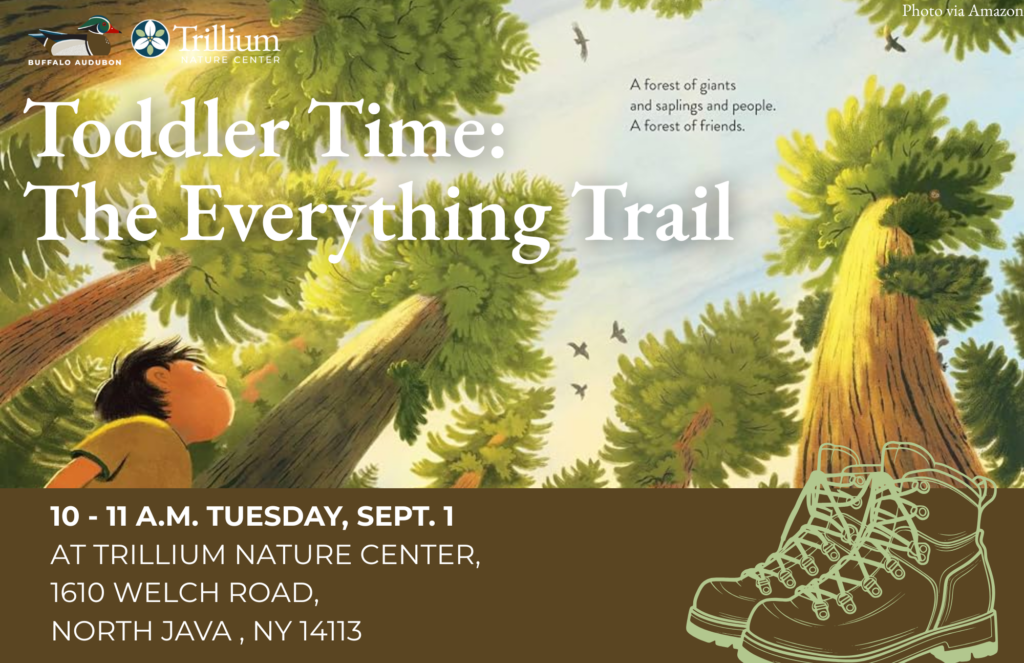 Toddler Time: The Everything Trail