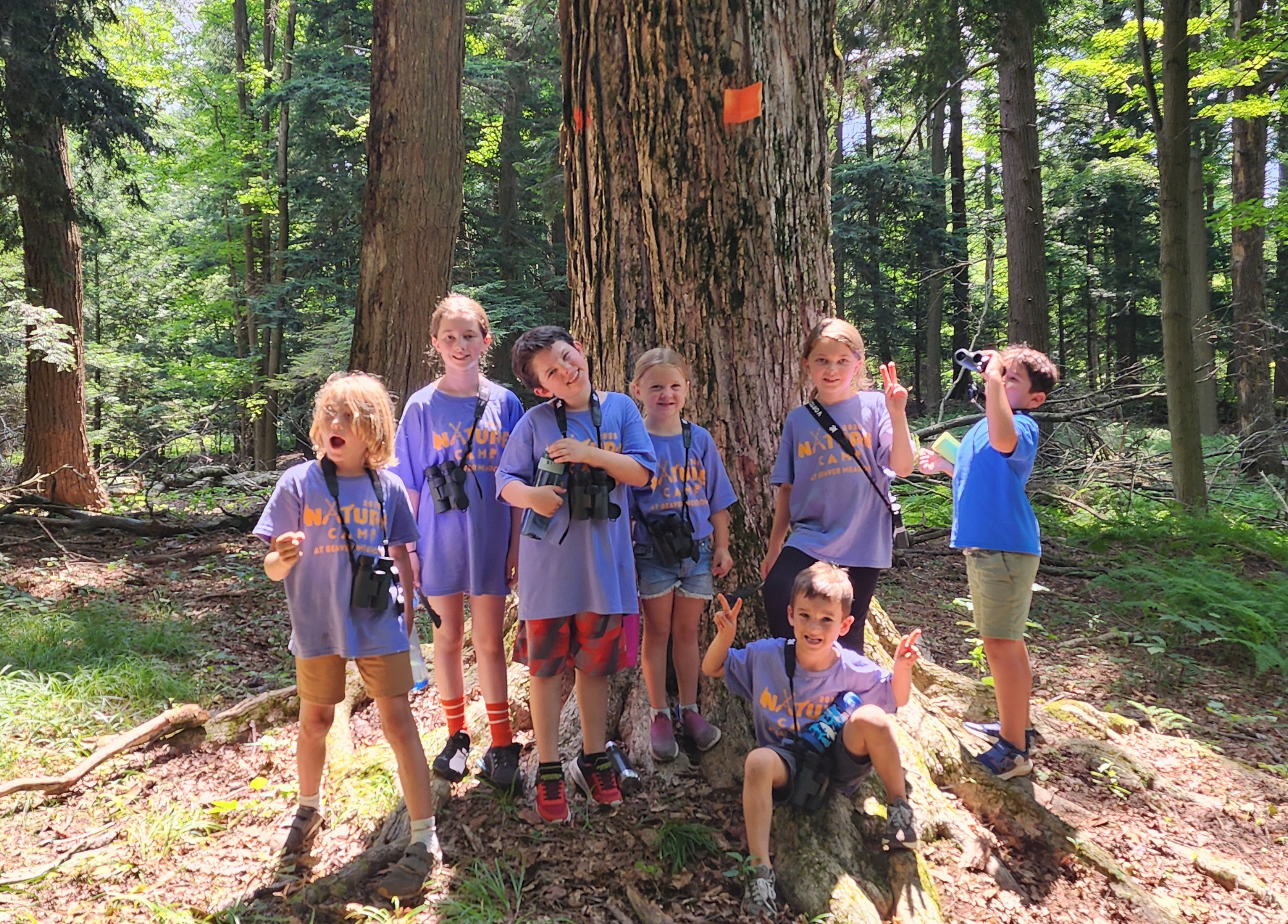 A Season of Discovery: Our Summer Nature Camp