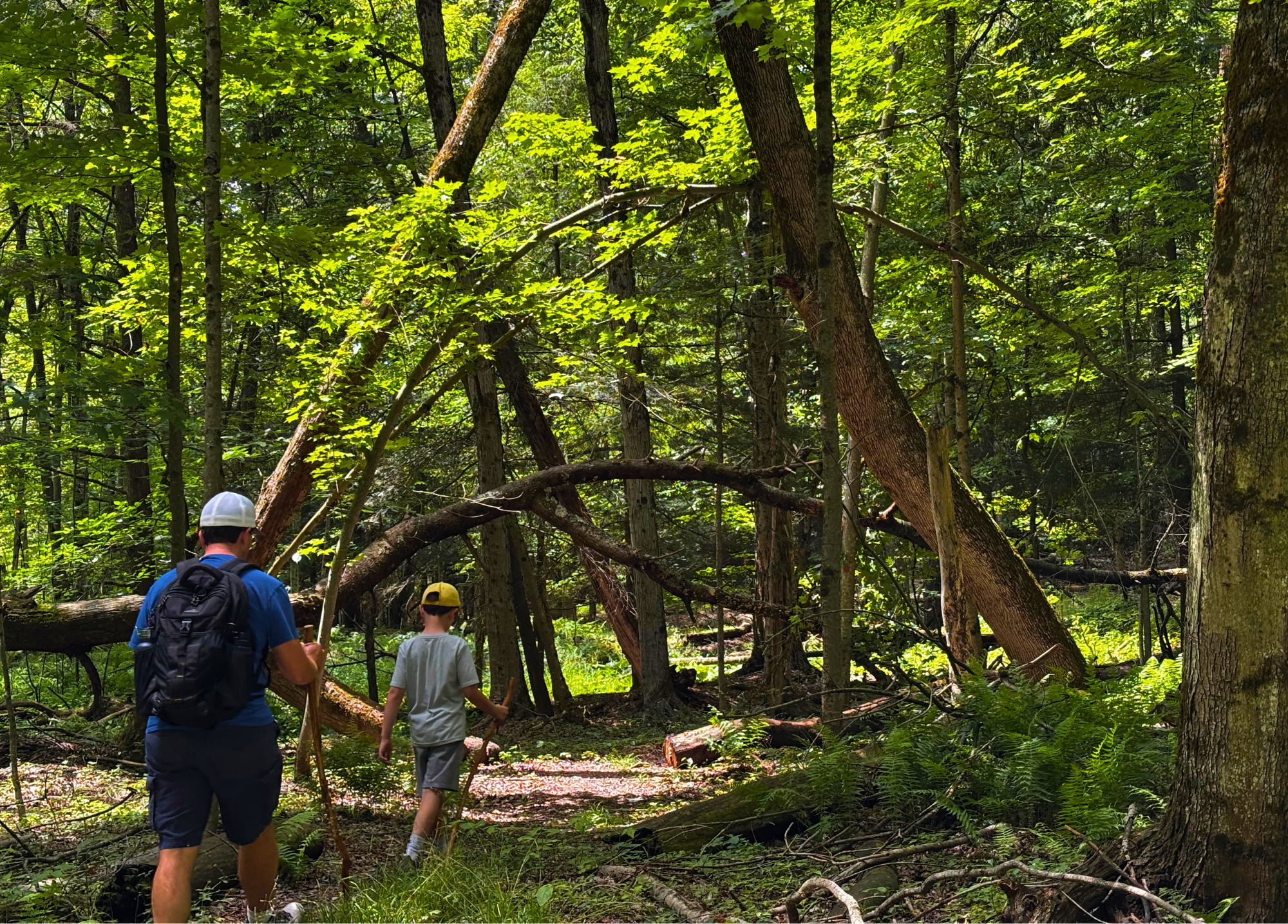 Come for the Birds, Stay for the Trails