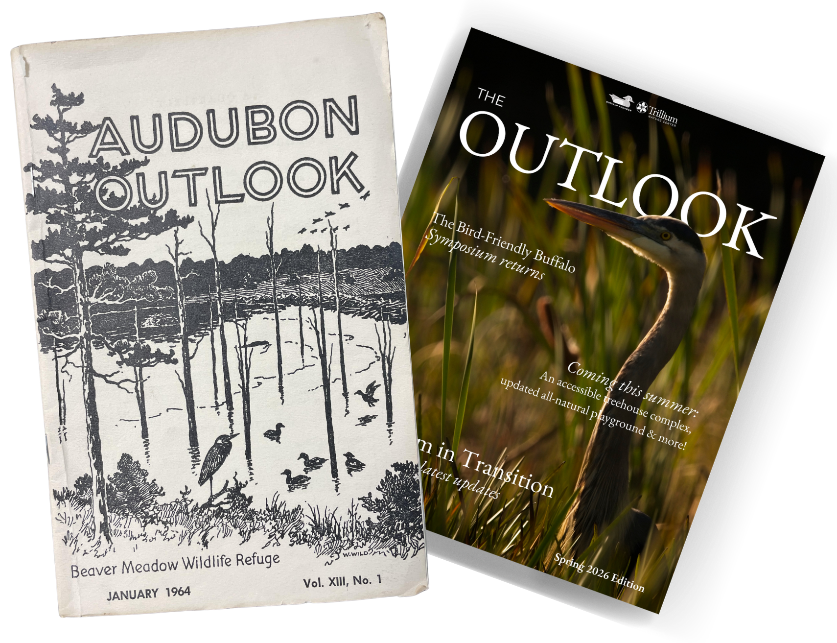A Look Back at Our First Outlook