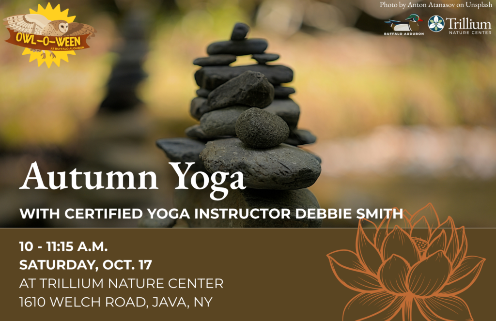 Autumn Yoga