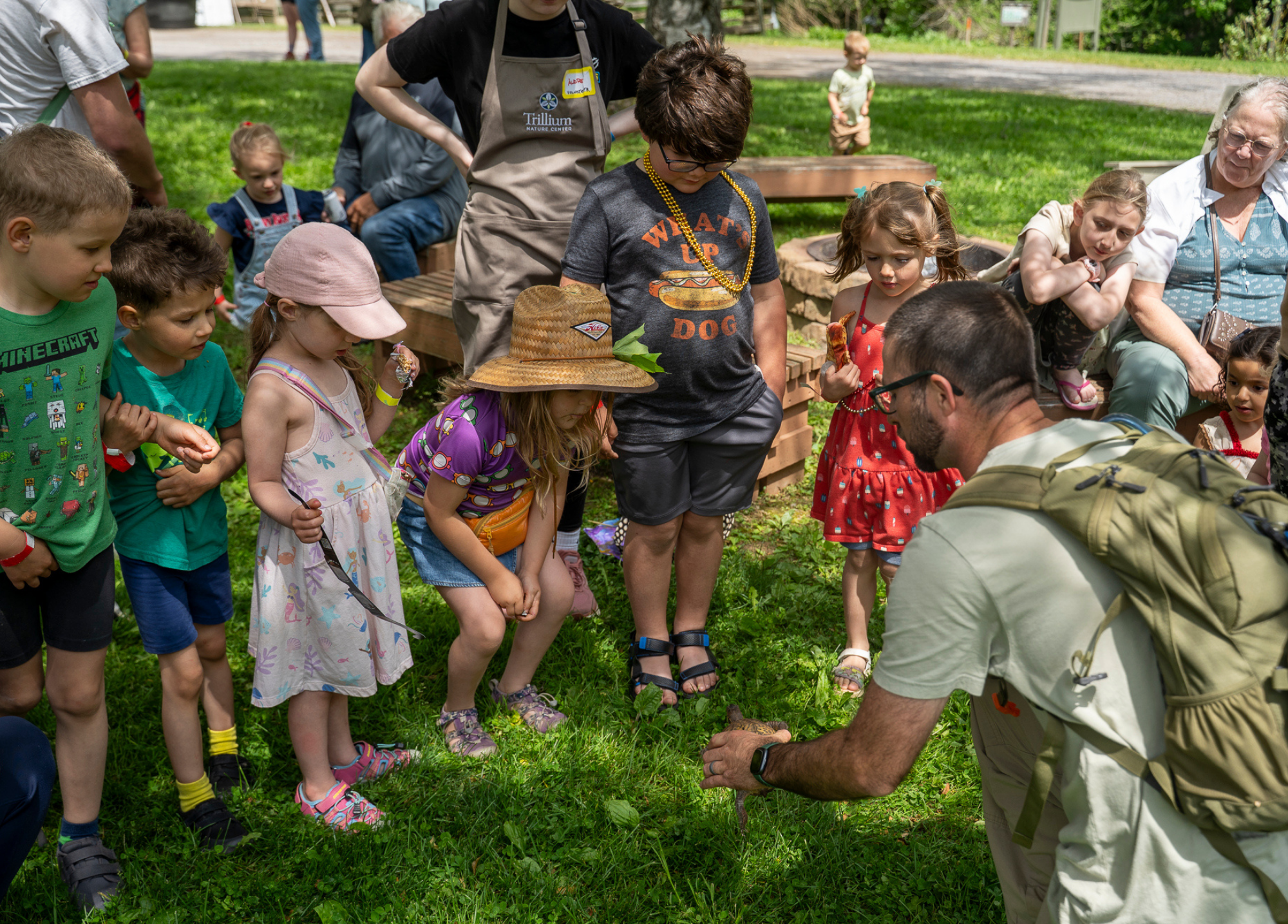 Sun, Summer & SpringFest: Celebrating Nature, Creativity & Community at Beaver Meadow Nature Preserve