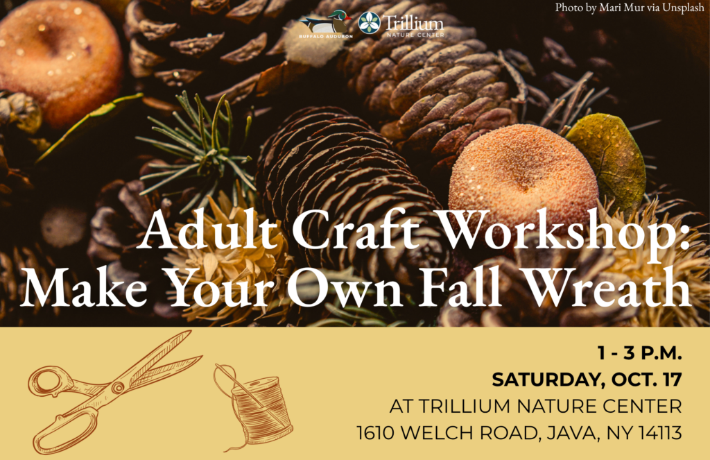 Adult Craft Workshop: Make Your Own Fall Wreath
